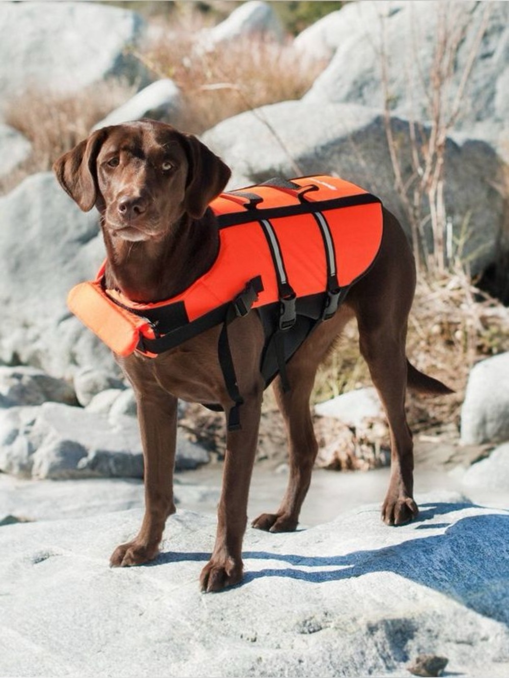 NWT XL Dog Life Jacket